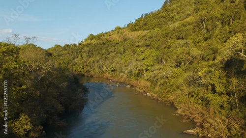 Green river in the forest on a sunny day. Blue sky. Irani river. 4K. Aerial. Drone.