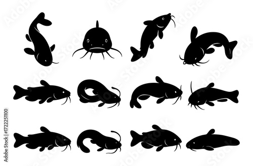 Silhouette set of catfish in various poses on white background