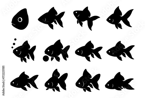Silhouette goldfish animation sequence for motion design and tutorials