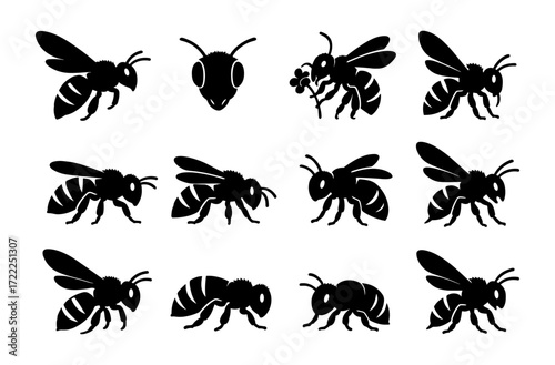 Bee silhouette set: simple black insect icons on white background
