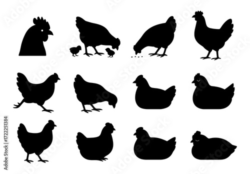 Silhouette collection of chickens in various poses