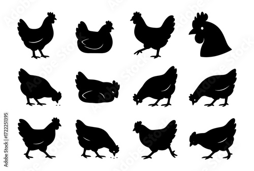 Chicken silhouettes collection: various poses of hens and roosters