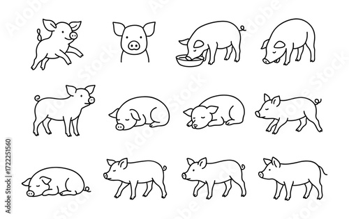 Cute pig outlines: various poses of playful piglets in simple line art style