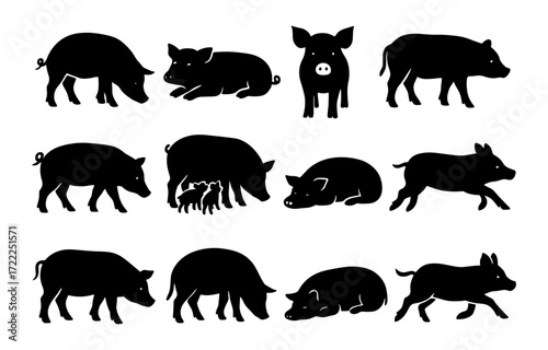 Collection of pig silhouettes in various poses with piglets