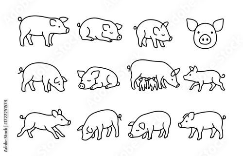 Cute pig sketches: adorable farm animal outlines in simple black line style