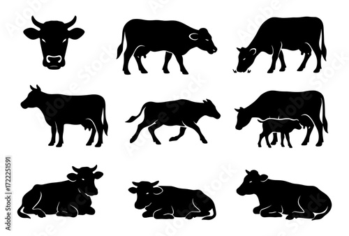 Cow silhouettes: grazing, resting, and calf feeding