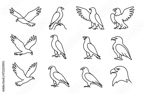 Collection of minimalist bird silhouettes in various poses and angles