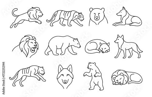 Linear animal outline collection: lions, tigers, bears, wolves in minimalist style