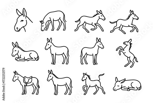 Collection of hand drawn donkey outlines in various poses
