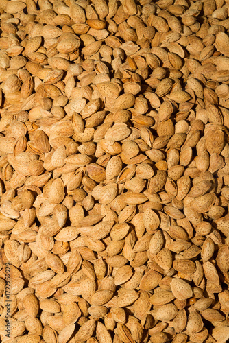 Shelled dry almonds on display for sale at local food market.