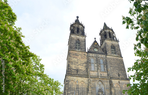 Magdeburg, cathedral double towers view and trees in spring