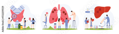 Diagnosis of diseases of internal organs set. Tiny people research with magnifying glass and microscope, connect puzzle pieces in human thyroid gland, liver and lungs cartoon vector illustration