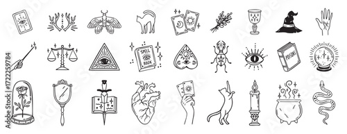 Boho witchy elements set heart and moths, spellbook all seeing eye, goblet and candle, beetle and snake, rose and astrology symbols hand drawn monochrome line art, outline contour