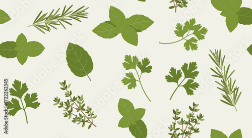Seamless pattern of fresh green herbs isolated on transparent background