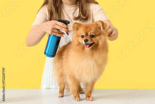 Female groomer taking care ...