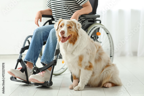 Service dog near woman in w...