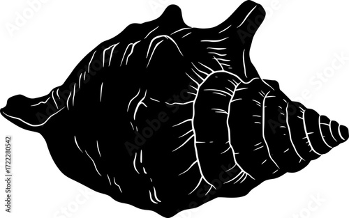 black and white silhouette of a seashell vector on a white background
