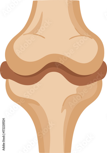A medical illustration of the human knee joint, showing bones, cartilage, and joint structure in a detailed frontal view