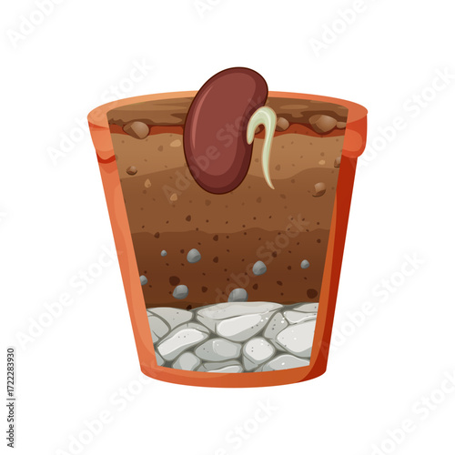 Planting a Seed A Cross-Section View of Soil Layers