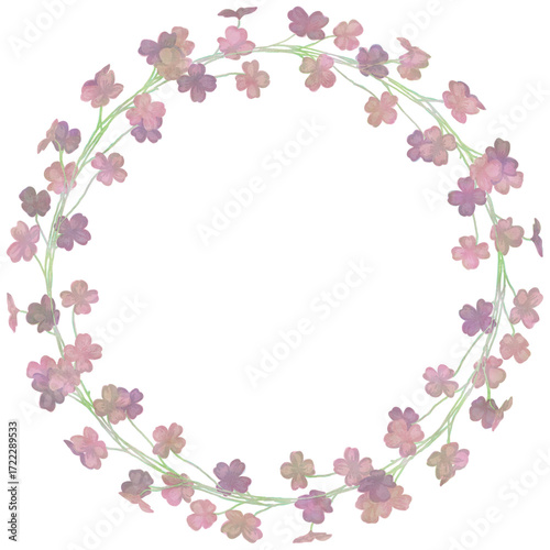 Isolated vector illustration. Round floral decor or frame. Wreath of wild flowers. Gillyflower or carnation. Matthiola bicornis. Clove blossom.