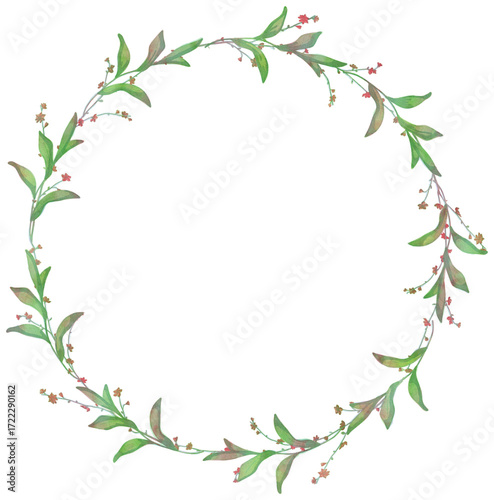 Isolated vector illustration. Round floral decor or frame. Wreath of wild flowers. Gillyflower or carnation. Matthiola bicornis. Clove blossom.