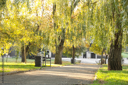Beautiful autumn park with ...