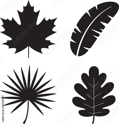 A seamless pattern of vector feathers and leaves in a vintage design