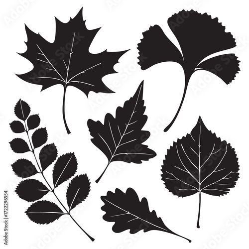 Black Silhouette of Various Tree Leaves Vector Set - Autumn and Nature Icons