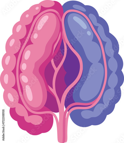 A medical illustration of the pituitary gland, displaying its anatomical lobes and structure in a symmetric, color-coded cross-section