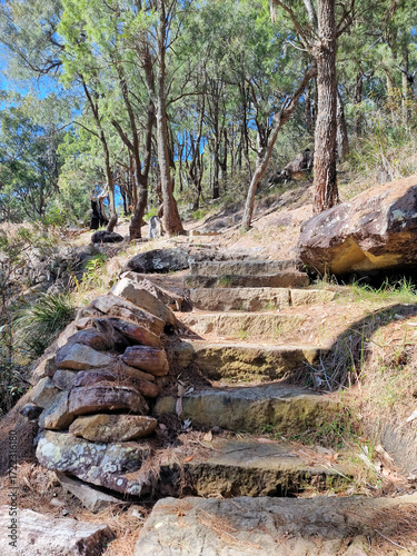 Steps carved into a track in the Australian bush in casuarina and coastal forest.