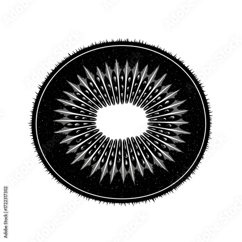 Stylized kiwi fruit slice silhouette isolated on white background
