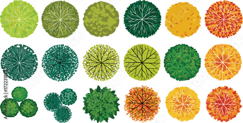 A vibrant assortment of top-down tree illustrations for landscape architecture and site planning. Vector symbols representing different seasons