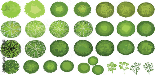 Collection of Top View Green Trees and Shrubs Illustrations