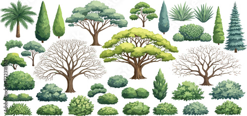 Collection of Illustrated Trees and Bushes for Garden Design