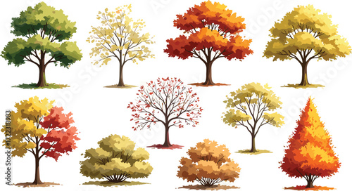 Diverse Collection of Illustrated Trees A Vibrant Spectrum of Autumnal and Seasonal Foliage