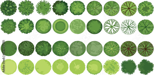 Collection of various green foliage tree tops viewed from above, perfect for architectural and landscaping designs