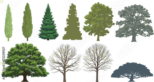 Diverse Tree Illustrations A Collection of Various Tree Types in Vector Graphics