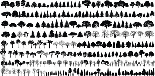 A diverse collection of tree silhouettes, showcasing various species like deciduous, coniferous, and palms, ideal for landscape design, architectural models, and graphic compositions