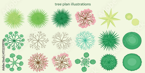 Varied Tree Top View Illustrations Design Elements for Landscaping