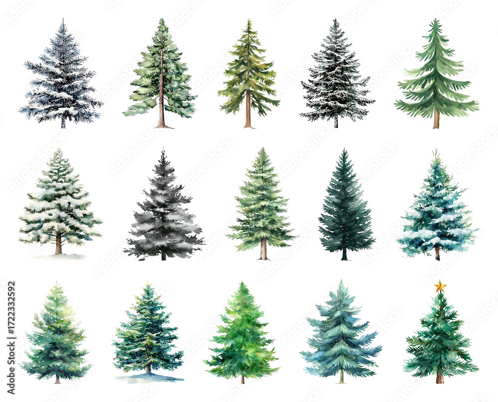 Obraz premium Diverse watercolor evergreen tree collection.