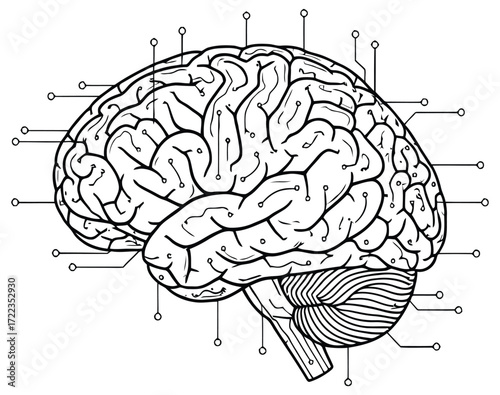 Line art Human Brain Anatomy Diagram with Circuitry Connections.