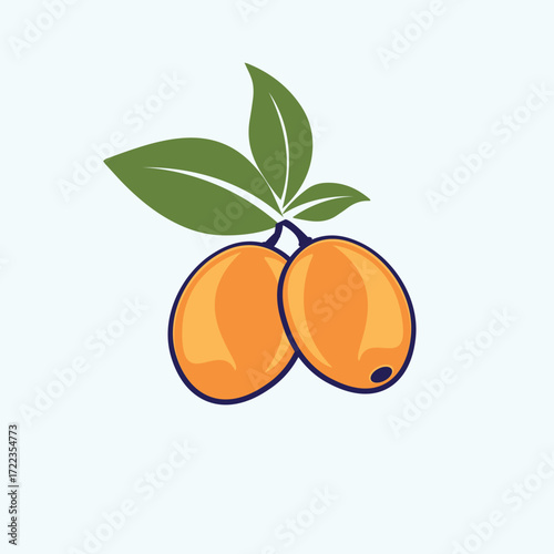 Vector art of two ripe orange sea buckthorn berries with green leaves on a light blue background