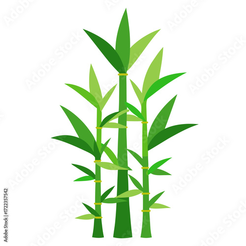 Lush green bamboo little  plant vector on white background.