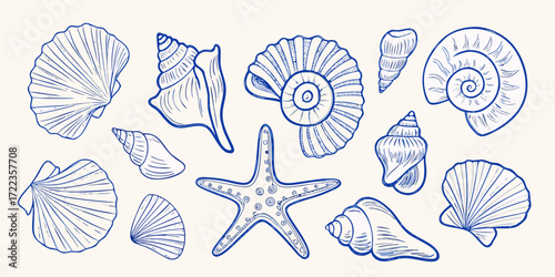 Collection of hand drawn blue line art seashells and starfish on a light beige background