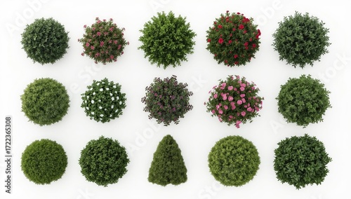 Top-down view of various decorative shrubs and small flowering plants in round containers, displayed against a white background.
