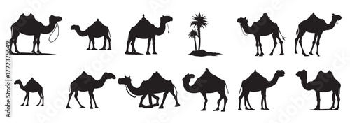 camel silhouette set black logo animals silhouettes icons 
