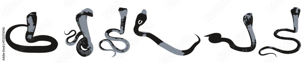 Fototapeta premium cobra illustration set on white background