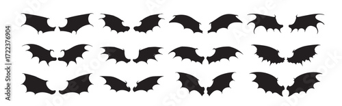 ragon wings silhouette white background