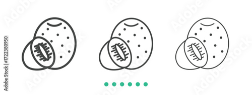 Kiwi icon. Thin line icon vector