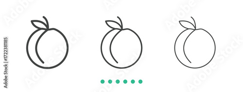 Peach icon. Thin line icon vector
